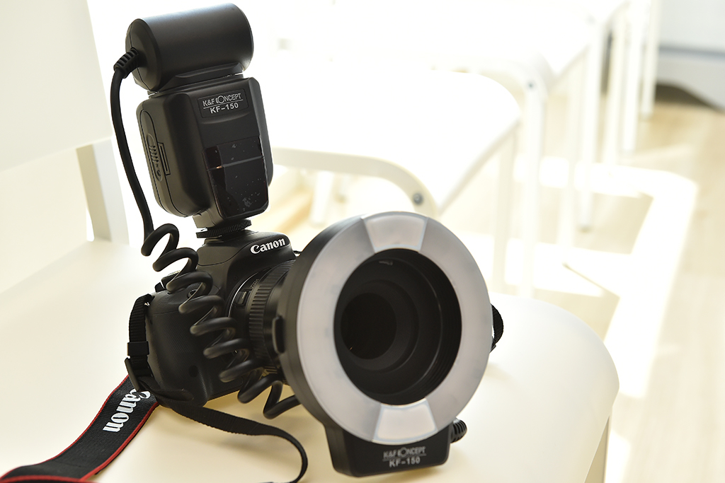 習志野市藤崎・わかまつ歯科医院